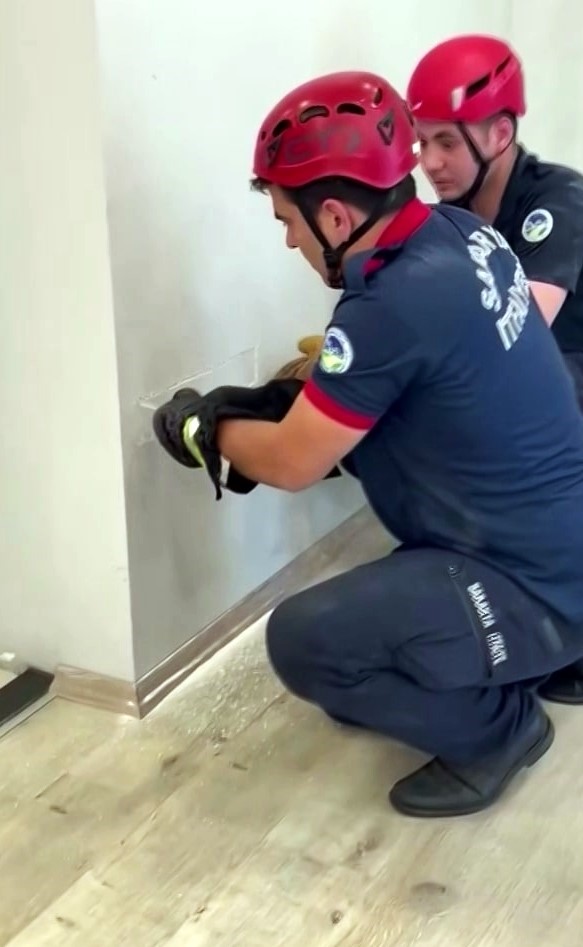 Fabrika duvarına sıkışan yavru kedinin imdadına itfaiye yetişti