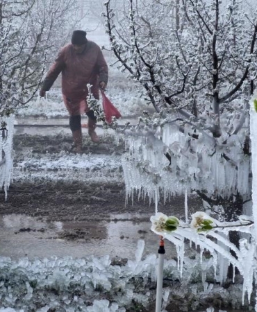 Zirai Don Meclis Araştırma Komisyonu 14 Mayıs’ta toplanıyor