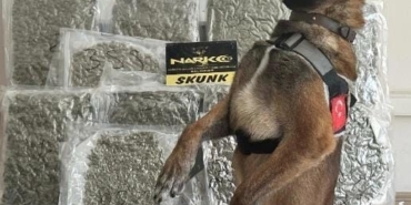 Narkotik köpeği ’Yaşa’ sayesinde 10 kilo esrar yakalandı