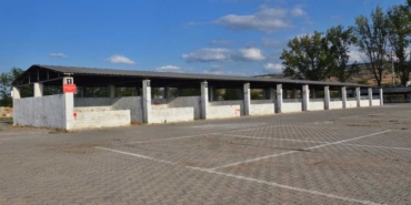 Bursa’nın Yenişehir ilçesinde şap karantinası