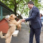Kadıköy Belediyesi Geçici Hayvan Bakımevi yenilendi