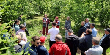 Sakarya’da kahverengi kokarca kabusuyla mücadele başladı: sahada çiftçilere feromon tuzağı ulaştırılıyor