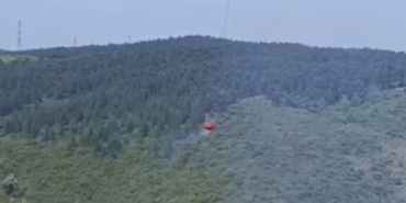 Sultangazi’de orman yangını