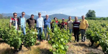 Çanakkale’de yaşanan don sonrası bağlarda saha tespit çalışmaları yapıldı