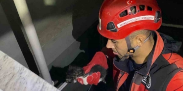 Apartman boşluğuna düşen yavru kedi itfaiye ekiplerince kurtarıldı