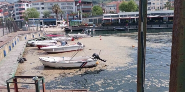 Karamürsel sahili müsilajla kaplandı