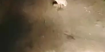 Korkmadı, kaçmadı... "Ana yüreği korku tanımaz"