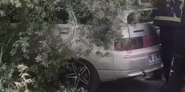 Kökünden sökülen ağaç otomobilin üzerine devrildi