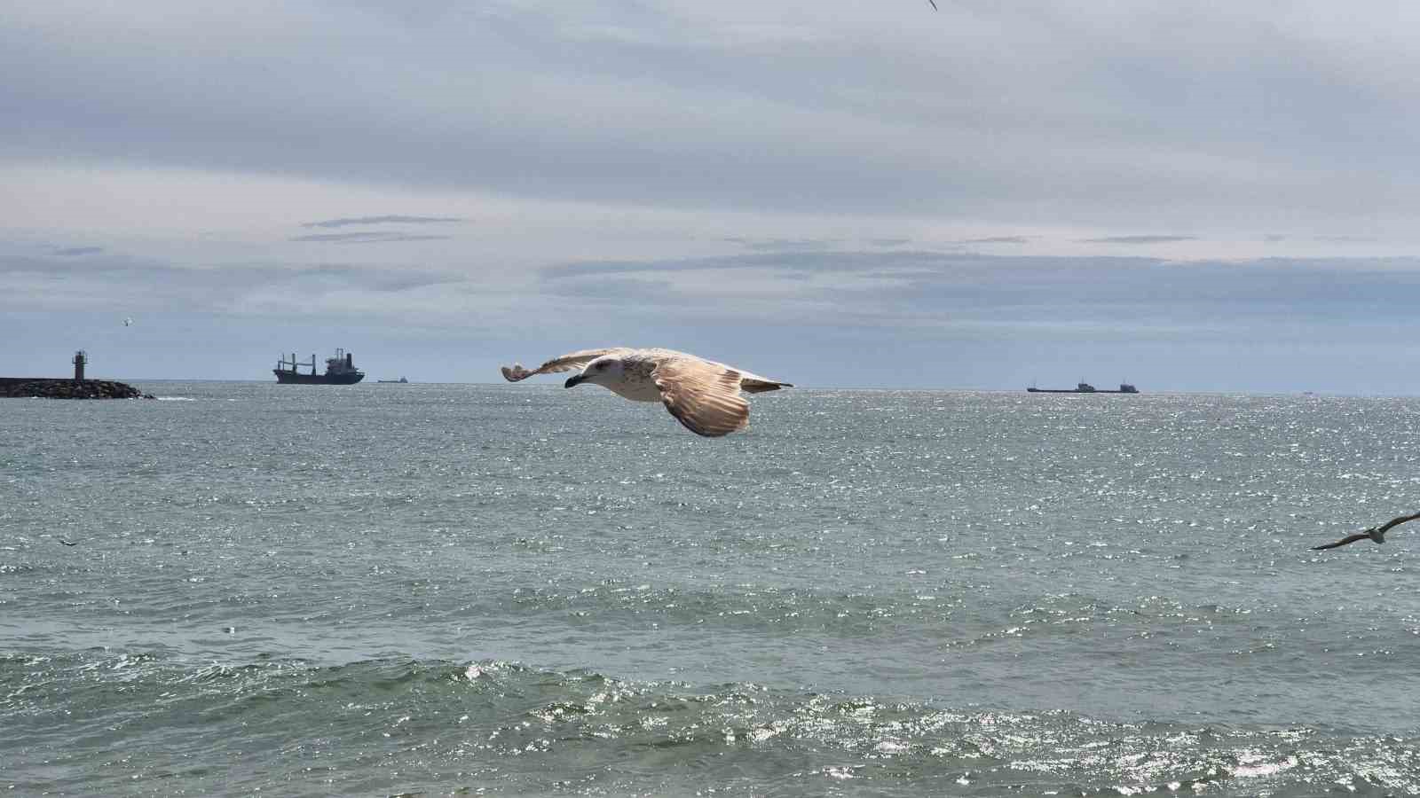 Limana hapsoldular: 5 gündür çıkamıyorlar