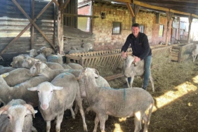 Kurbanlıkları satıp kazancıyla Temmuz ayında evlenecek