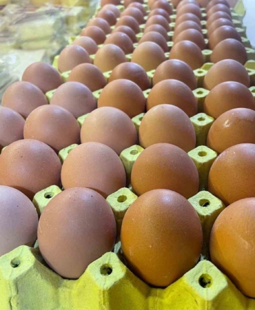 Yumurta kabuğu deyip geçmeyin sanayide çok değerli