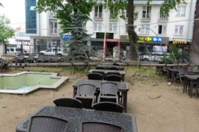 Bilecik’te çay bahçesinde bulunan dev ağaç devrildi