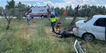 Otomobil zeytinliğe uçtu