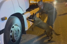 Tırdaki 5,5 kilogram uyuşturucuyu ’Viva’ buldu