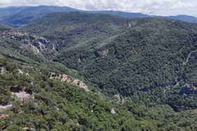 Doğa yürüyüşünde kaybolan Çevre ve Şehircilik İl Müdür Yardımcısını arama çalışmalarına 100 kişilik ekip sevk edildi