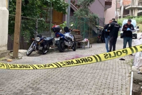 Yer kavgasında abi kardeş arasında kan aktı