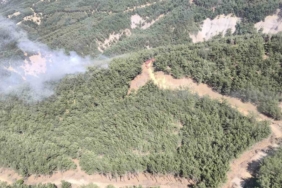 Gökçeada’da orman yangını