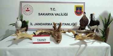 Hayvanat bahçesi gibi ev: Evinden çıkanlar hayrete düşürdü