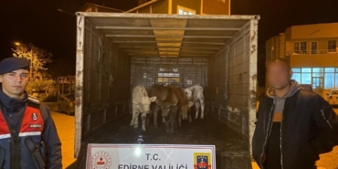 Enez’de ağıldan 6 adet hayvan çalan şüpheliler yakalandı
