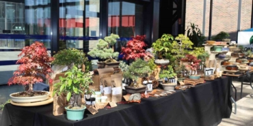 Doğa ve sanat tutkunları bonsai sanatı ile tanıştı