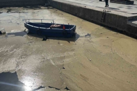Bandırma ve Gönen sahillerinde müsilaj yüzeye çıktı