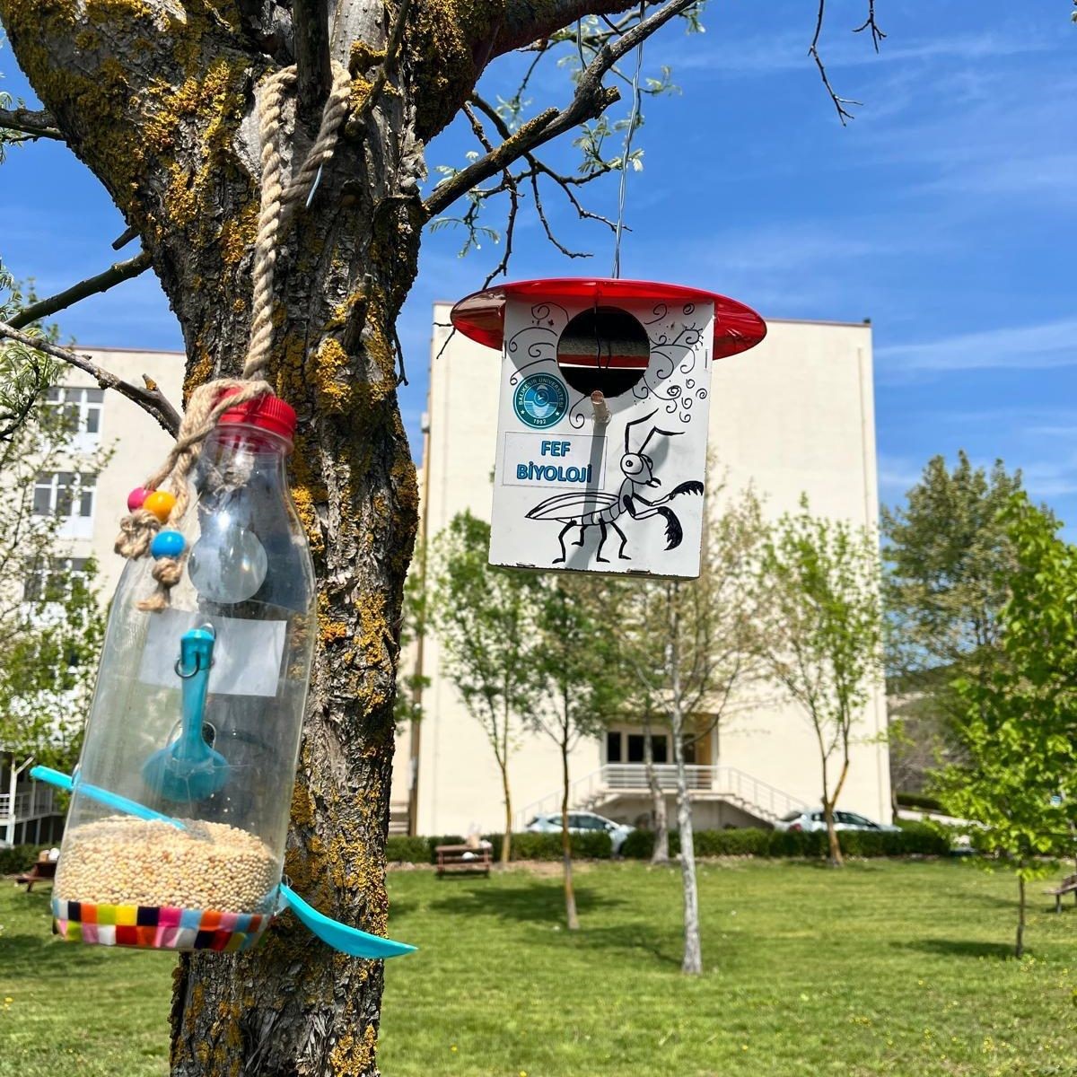 Öğrencilerden kuşlar için yuva ve yemlik