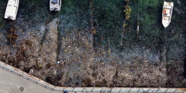 İstanbul Boğazı’ndaki kirlilik havadan görüntülendi