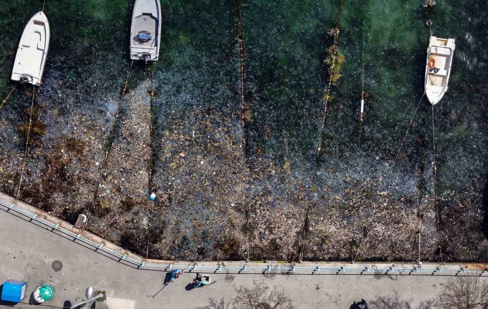 İstanbul Boğazı’ndaki kirlilik havadan görüntülendi
