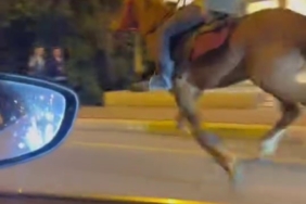 Şehrin göbeğinde dörtnala giden atı gören dönüp bir daha baktı