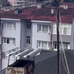 Antene sıkışan karga itfaiye erlerinin yardımıyla özgürlüğüne kavuştu