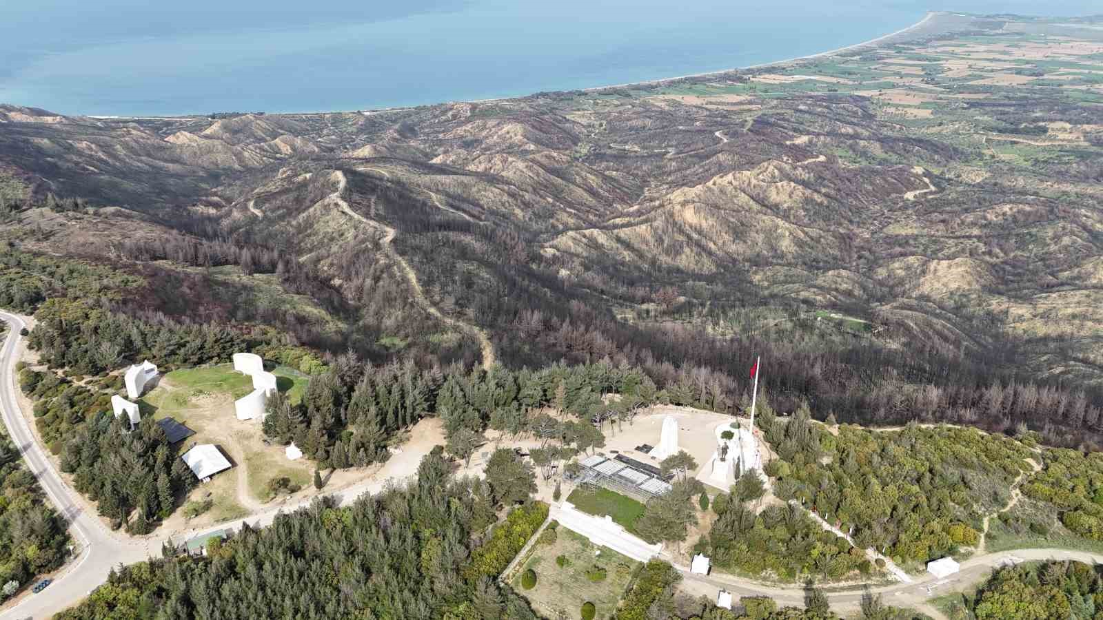 (Özel) Tarihi bölgede 980 futbol sahası büyüklüğünde alan yanmıştı: Orman yeniden yeşermeye başladı