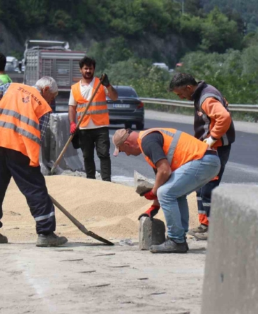 25 ton tavuk yemi D-650’ye savrulmuştu: Kapalı olan yol 2 saat sonra ulaşıma açıldı