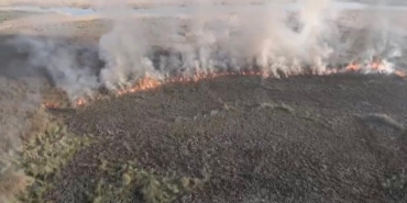 Arazide yakılan ateş yayıldı: 60 dönüm arazi zarar gördü