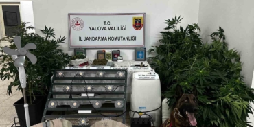 Yalova’da evinde uyuşturucu yetiştiren şüpheli tutuklandı
