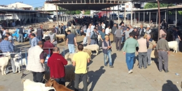 Havran’da Kurban Bayramı öncesi hayvan pazarı denetlendi