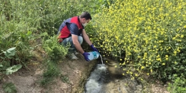Çanakkale’de çeltik ekim alanlarında sivrisinek mücadelesi başladı