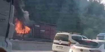 Hayvan yüklü kamyon alevlere teslim oldu