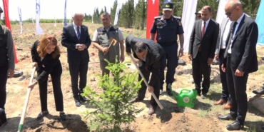 Türkiye’de "81 İlde 81 Orman" projesi kapsamında 81 ilde 2,2 milyon fidan toprakla buluşacak