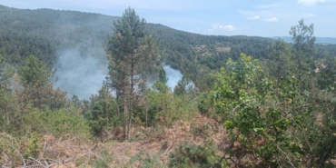 Çanakkale’de orman yangını kontrol altına alındı