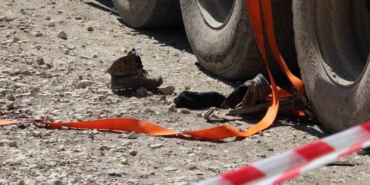 Tonlarca tomruk üzerine devrildi, hastanede hayatını kaybetti