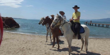 Balıkesir’de atlar plaja indi