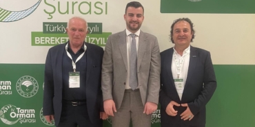 Ahşap palet sektöründen 18. madde çağrısı: "Palet havuzu modeli için hazırız"
