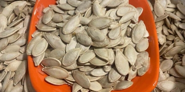 Kabak çekirdeğine "Salmonella", zencefile "Bacillus cereus" nasıl bulaşıyor