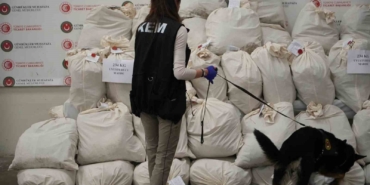 Edirne Kapıkule’de X-ray taraması yapılan otobüste 233 kilo esrar ele geçirildi