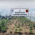 Balıkesir’de jandarmadan organize suçlara karşı geniş çaplı operasyon