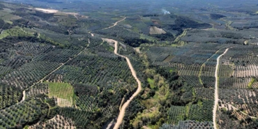 İznik Barajı 61 bin dekar araziye can suyu olacak