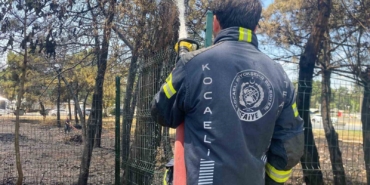 Kocaeli’de ağaçlık alanda yangın çıktı, 4 kişi dumandan etkilendi