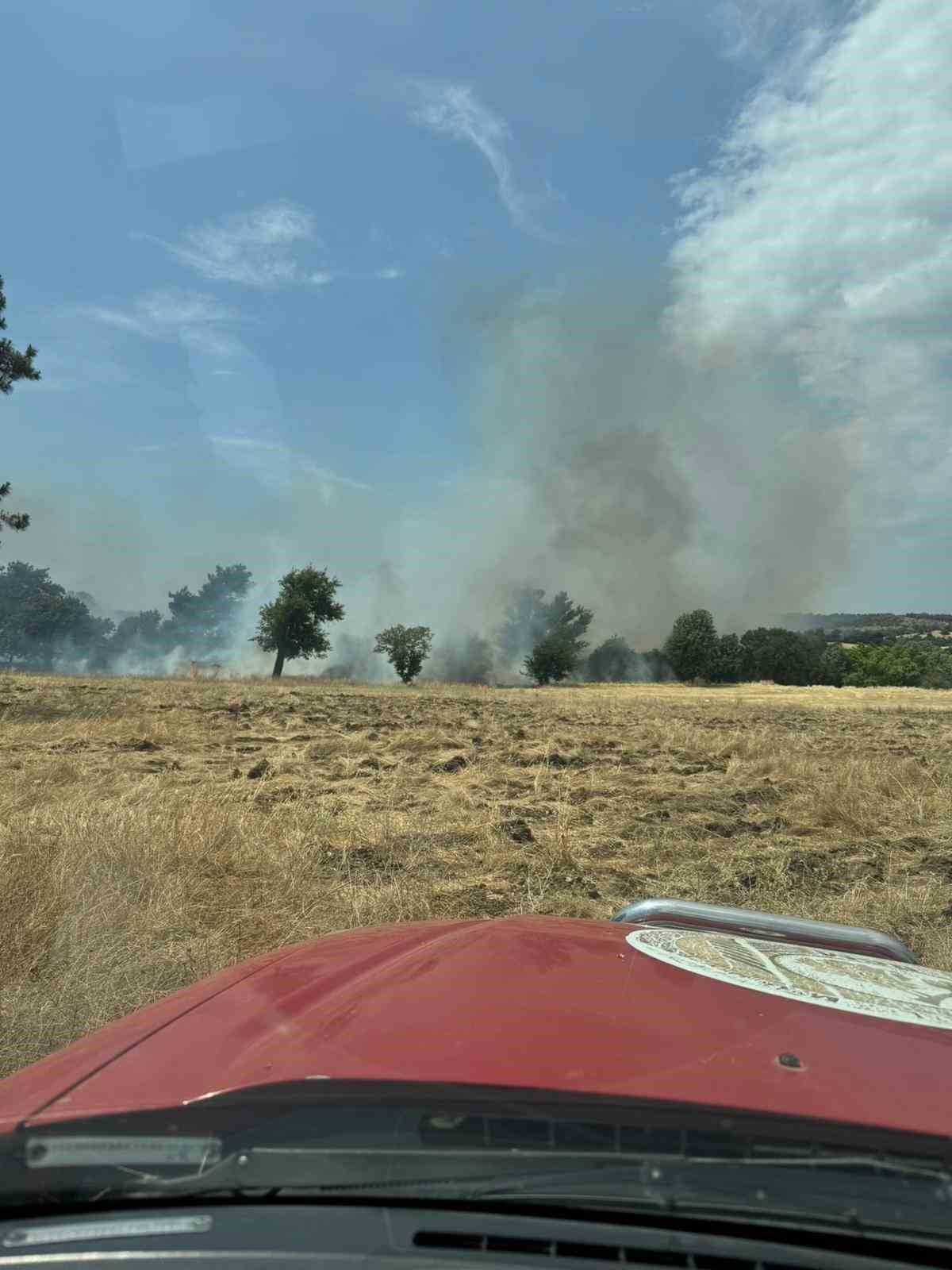 Ezine’de tarım arazisinde çıkan yangın kontrol altına alındı