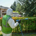 Esenyurt’ta haşerelere karşı kapsamlı mücadele