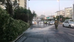 Şişli’de ağaçlık alanda çıkan yangın korkuttu